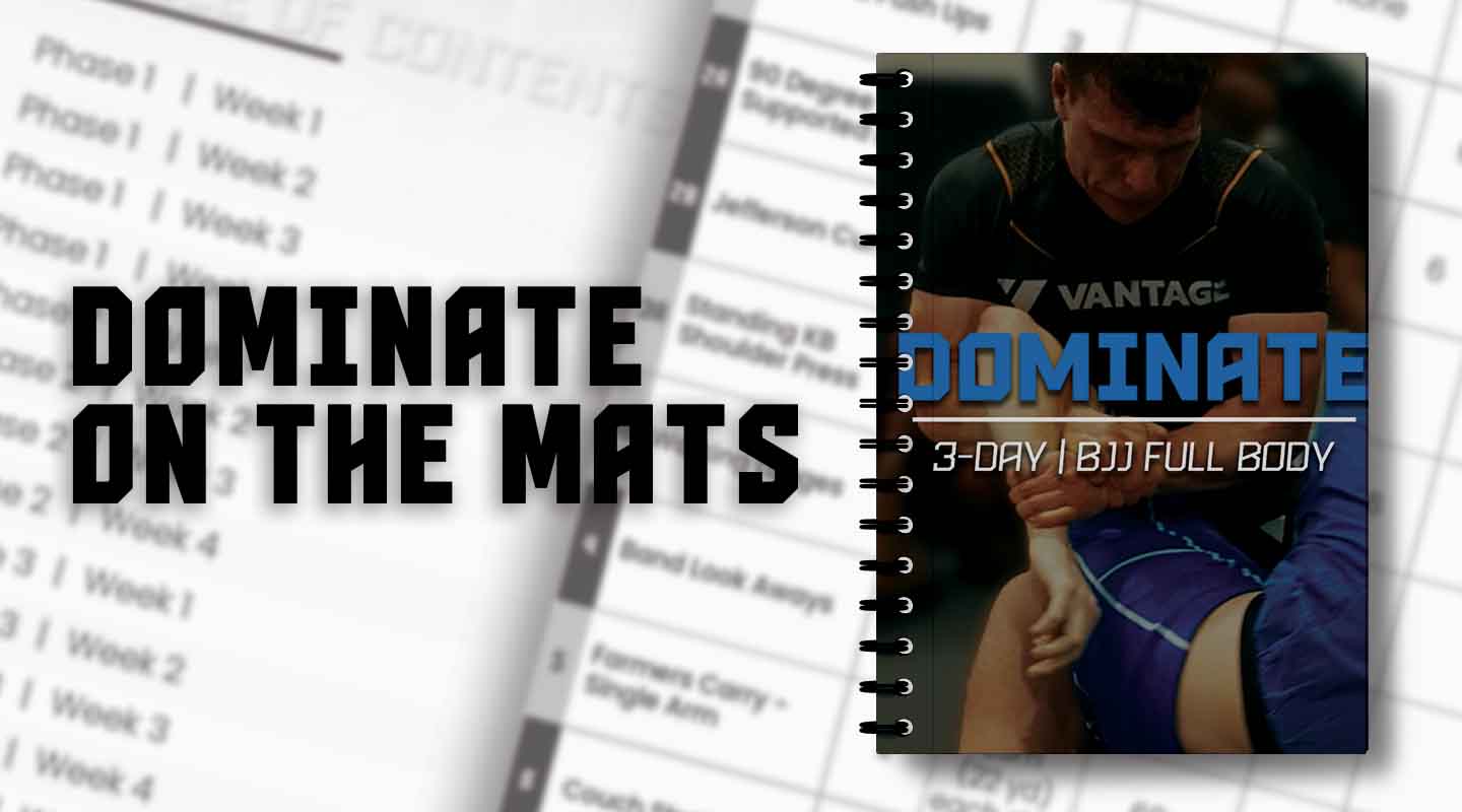 BJJ Dominate program book